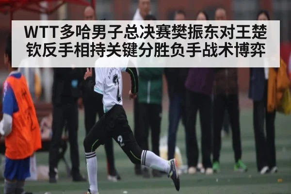 WTT多哈男子总决赛樊振东对王楚钦反手相持关键分胜负手战术博弈 | stakeapp